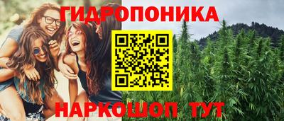 ГАЛЛЮЦИНОГЕННЫЕ ГРИБЫ Донской